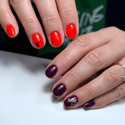 Atelier Urody Anna Lechicka